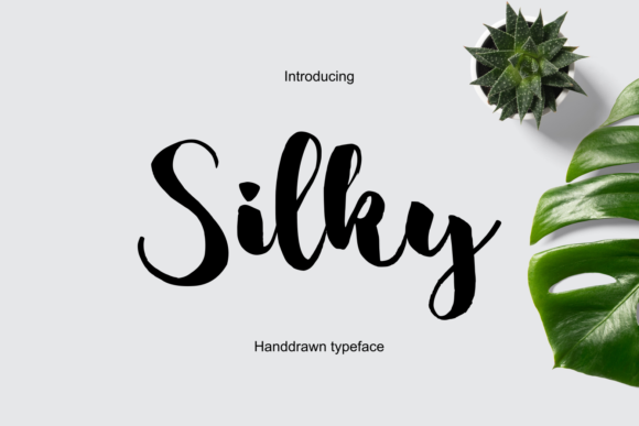 Elevate Your Brand with the Silky Script Font