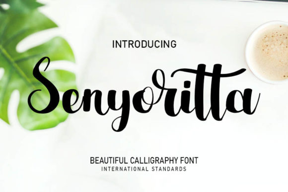 Elevate Your Craft with Senyoritta: A Maker’s Elegant Script Font