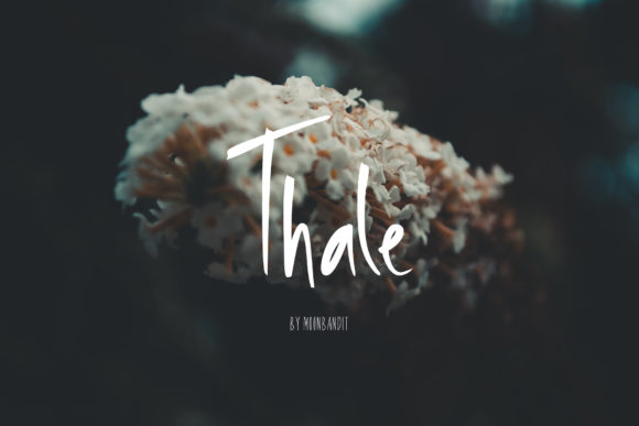 How a Handwritten Font Like Thale Can Elevate Your Small Business Brand