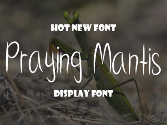 Praying Mantis: A Soft, Handwritten Font That Brings Personality to Every Craft