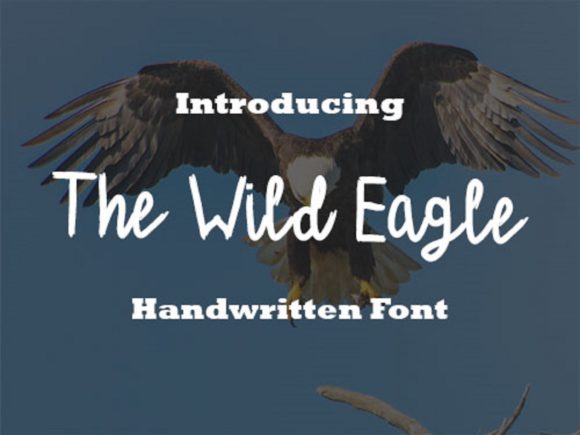 The Wild Eagle: A Handwritten Font That Elevates Modern Web Design