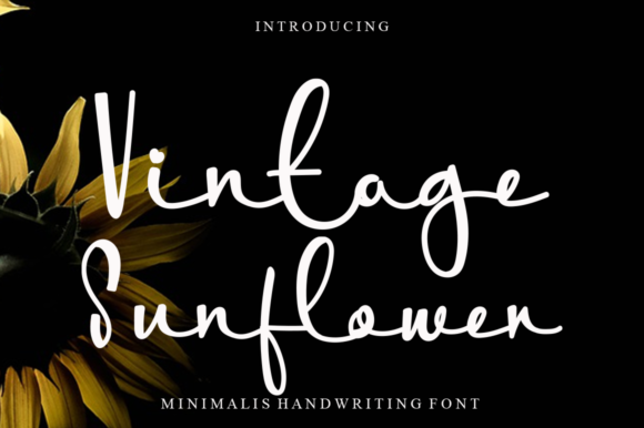 Vintage Sunflower: A Handwritten Font for Elegant Campaign Typography